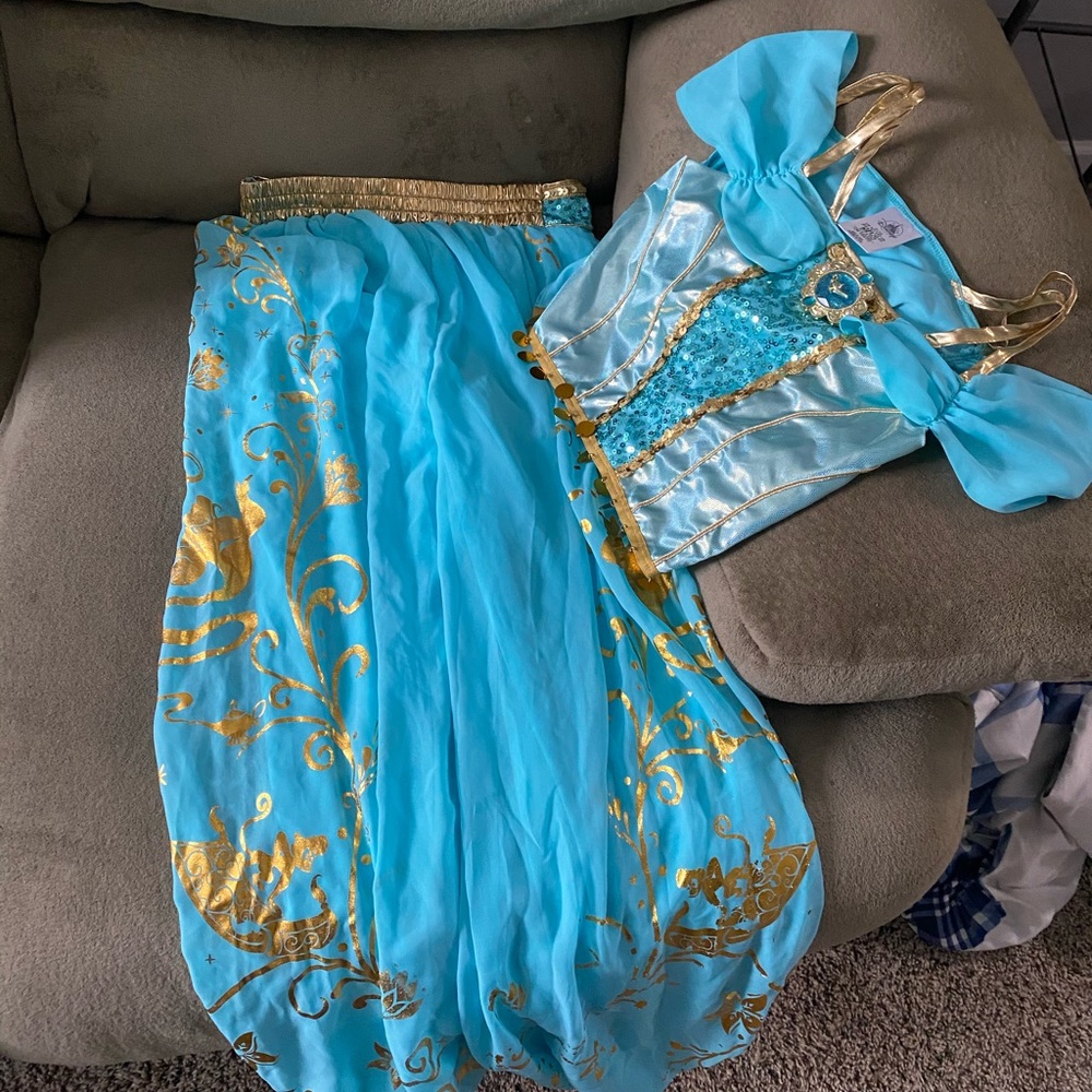 Disney Jasmin costume